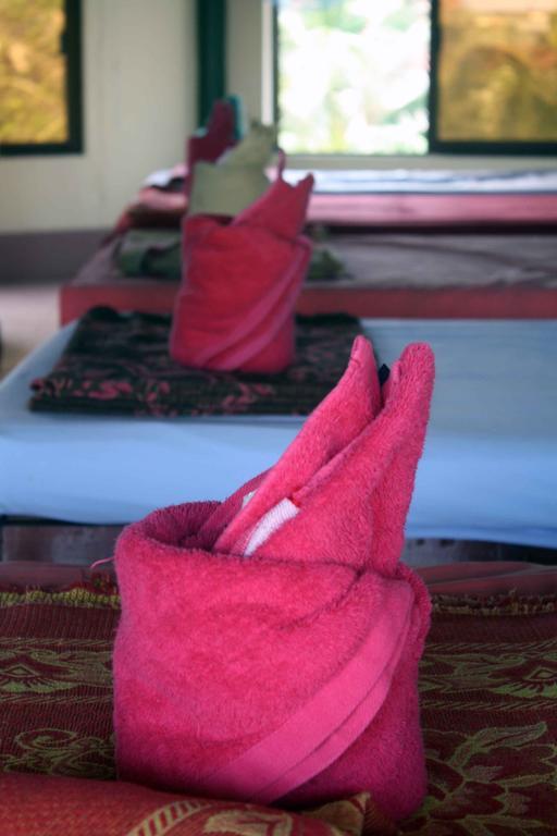 The Magic Sponge Hostel Kampot Exterior photo